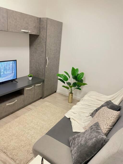 Apartment Sunlit Shelter * Ideal Location! Free Parking Oradea