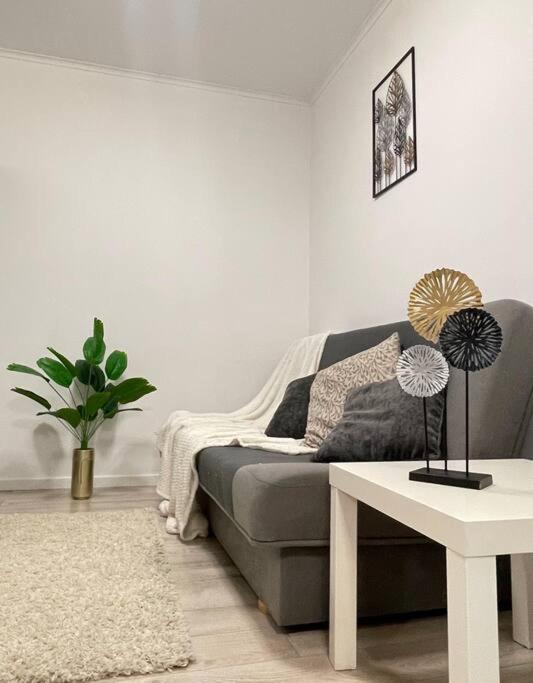 Apartment Sunlit Shelter * Ideal Location! Free Parking Oradea